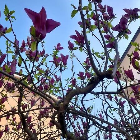 Appartamento Casa Magnolia, Tranquilla E Centrale Nichelino Esterno foto