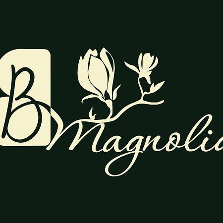 Appartamento Casa Magnolia, Tranquilla E Centrale Nichelino Esterno foto